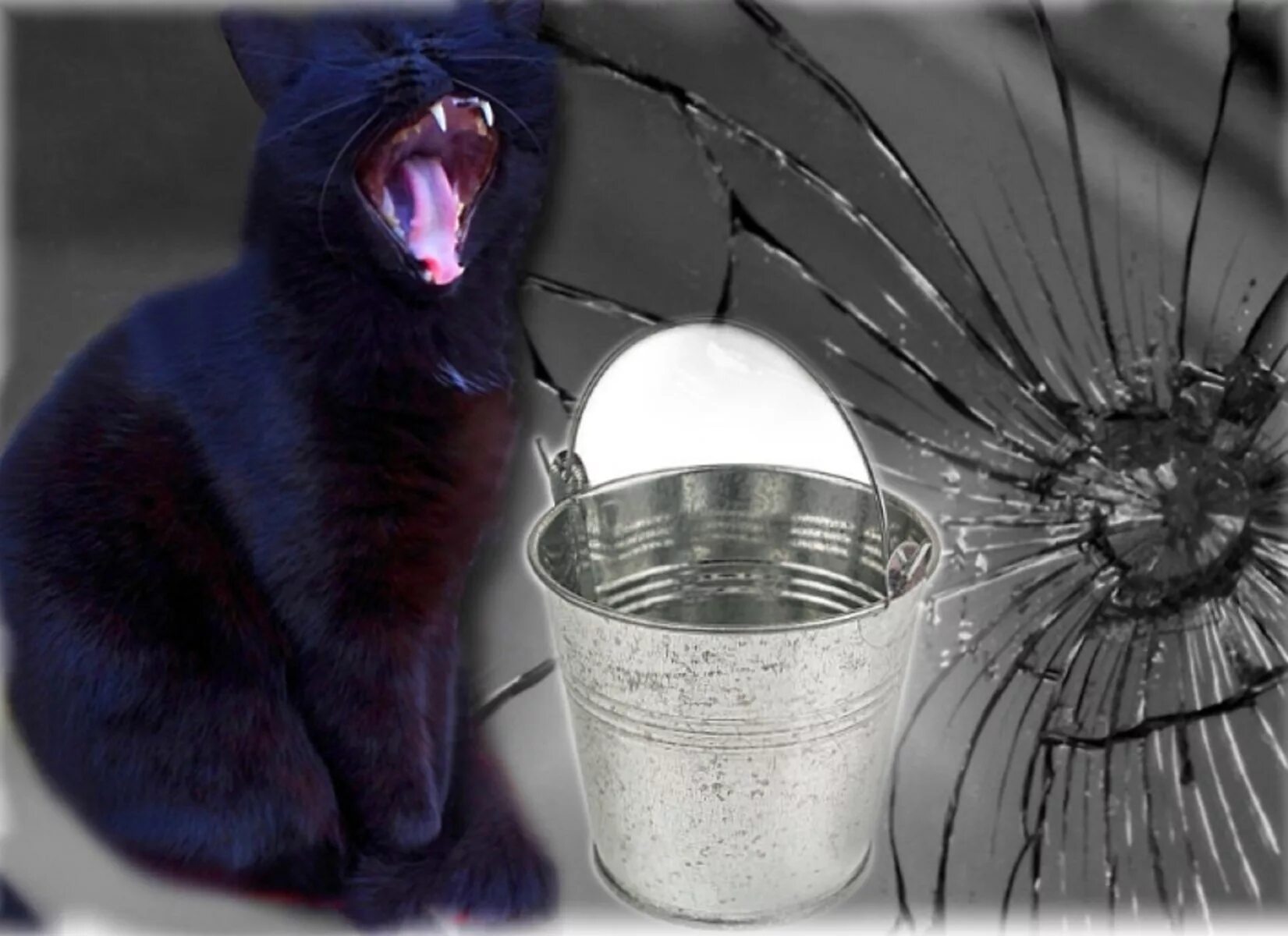 Разбитый кот. Черный кот с ведрами. Черный кот с пустым ведром. Черный кот разбивает зеркало пустым ведром. Кот в ведре.