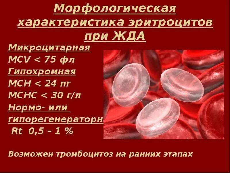 Формы железодефицитной анемии. Изменение морфологии эритроцитов при железодефицитной анемии. форма и размер эритроцитов при железодефицитной анемии. изменение морфологии эритроцитов при анемиях. морфология эритроцитов при железодефицитной анемии.