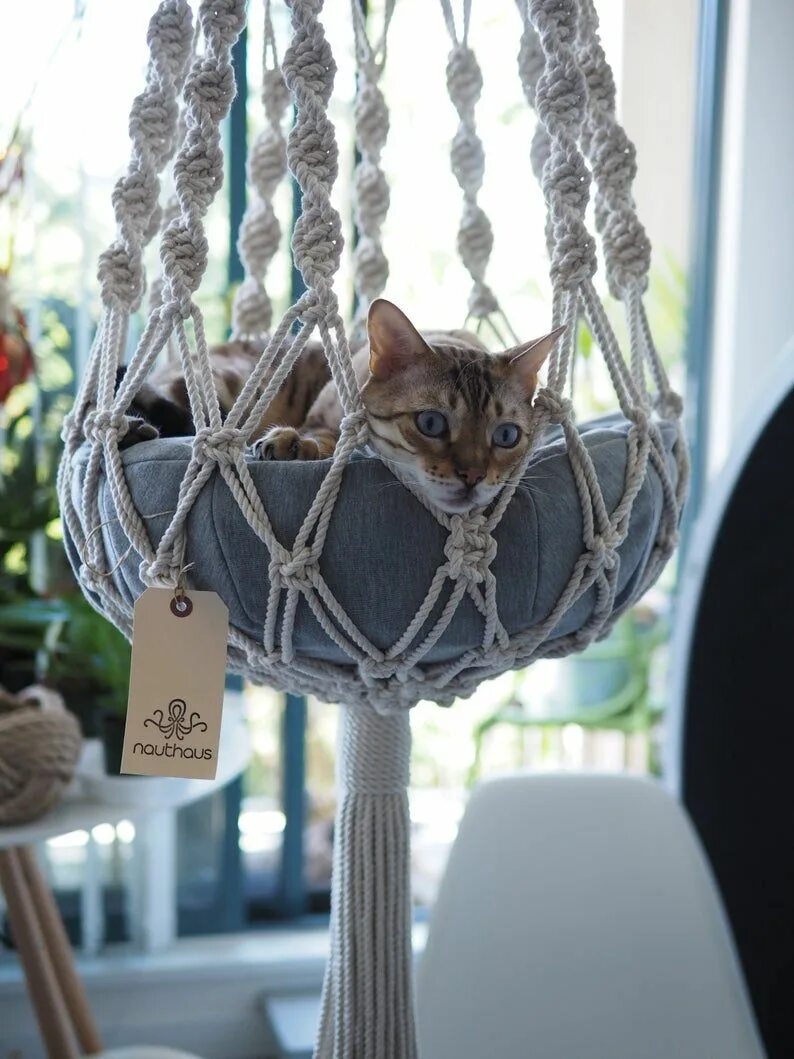 Макраме кот. Макраме для кошек. гамак для кота макраме. гамак для кошки из макраме. макраме дом для кота.