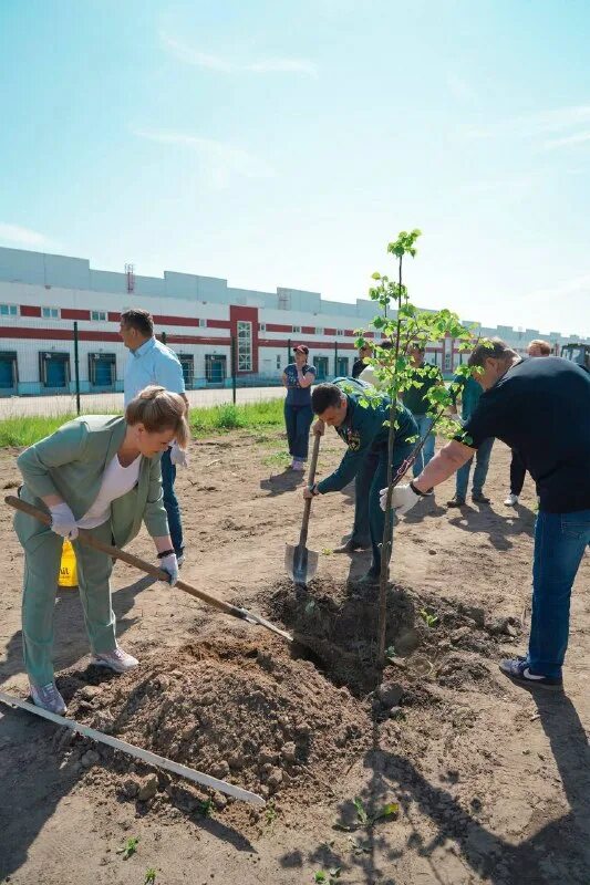 Вдоль шоссе высадили 20 деревьев. Мир саженцев нижнекамск поселок строителей. Воронежское шоссе 160. Озеления возле дороги. Субботник 2021 балашиха.