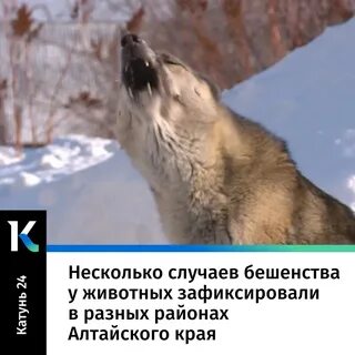 В нескольких случаях