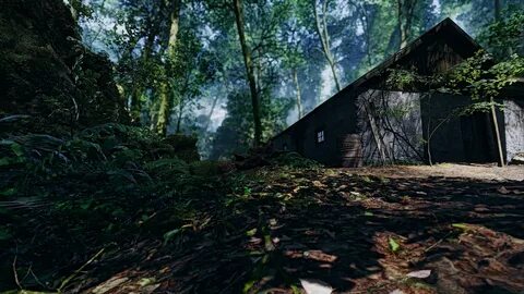 Video woods
