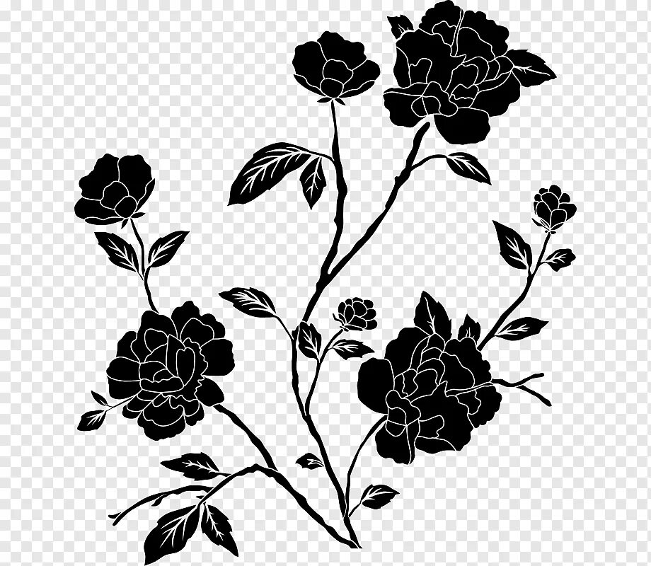 Как называется черный рисунок. Черно-белый цветок. Силуэты цветов. Цветочный силуэт. Картинки цветов черно белые.