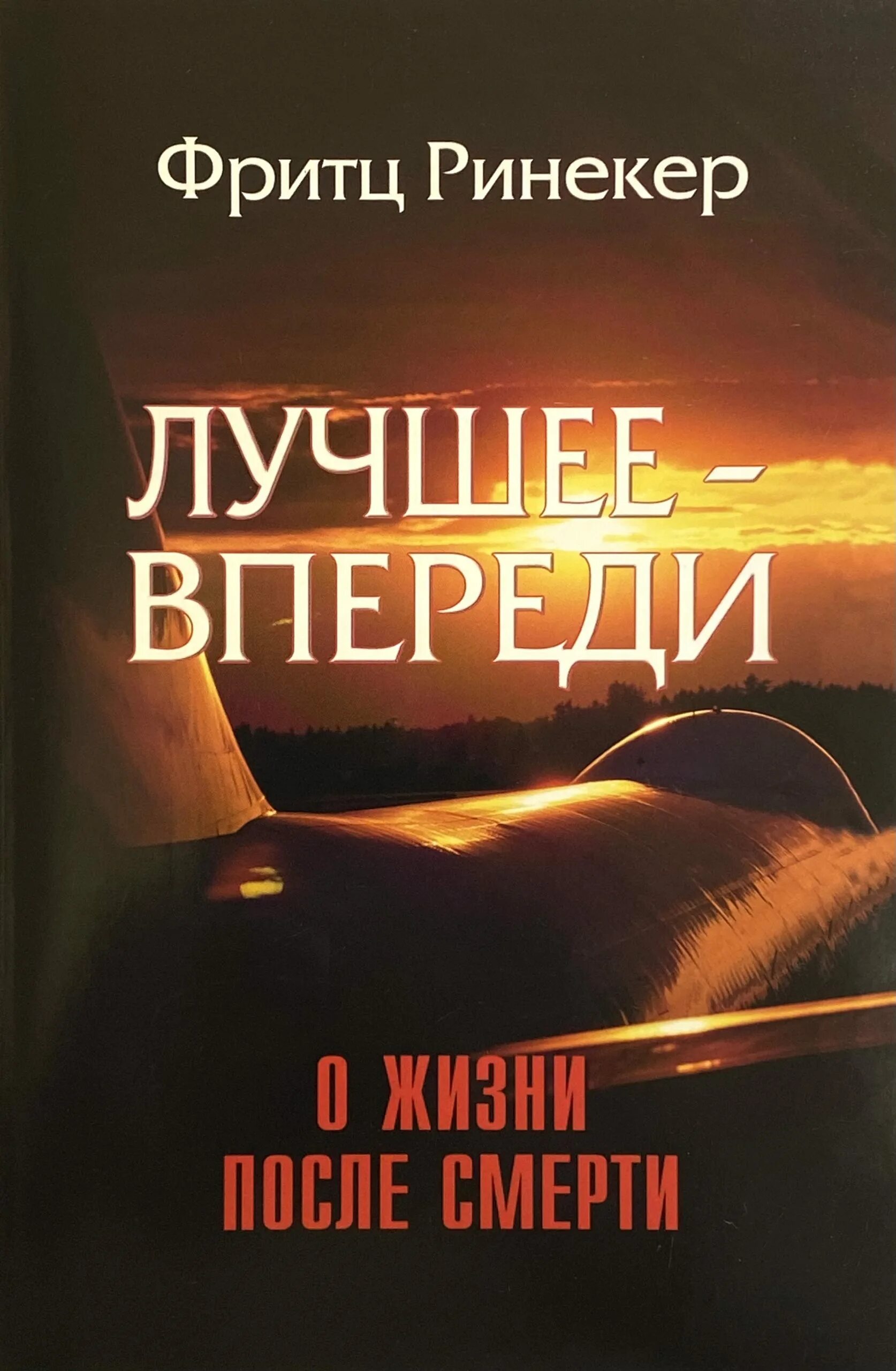 Жизнь после смерти книга. Лучшее впереди. Жизнь после жизни. Все лучшее впереди. Лучшее впереди 2017