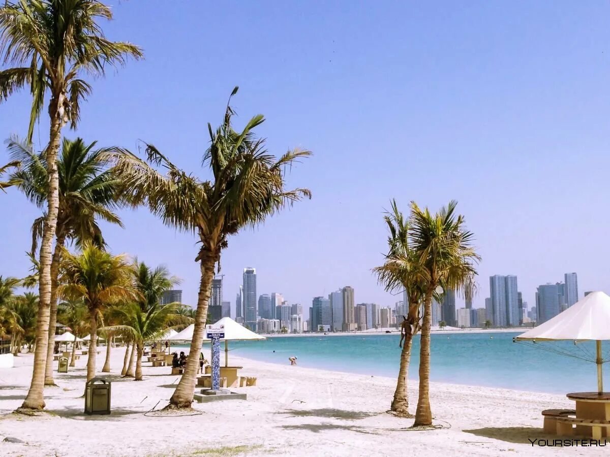 Парк аль мамзар. Парк Аль Мамзар Дубай. Пляж Аль Мамзар. Аль Мамзар пляж Шарджа. Пляжный парк Аль Мамзар в Дубае.