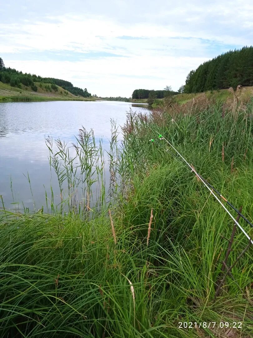 Рыбалка на тверце в дожде. Вазузское водохранилище фото. Отзывы о рыбалке на реке. Река оша. Рыбалка на реке.