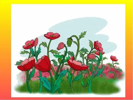 Живое пламя цветы