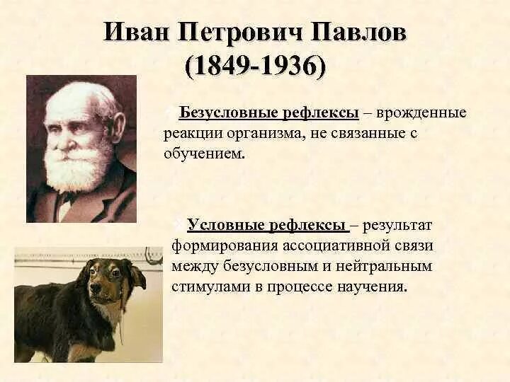 Теория Ивана Петровича Павлова.