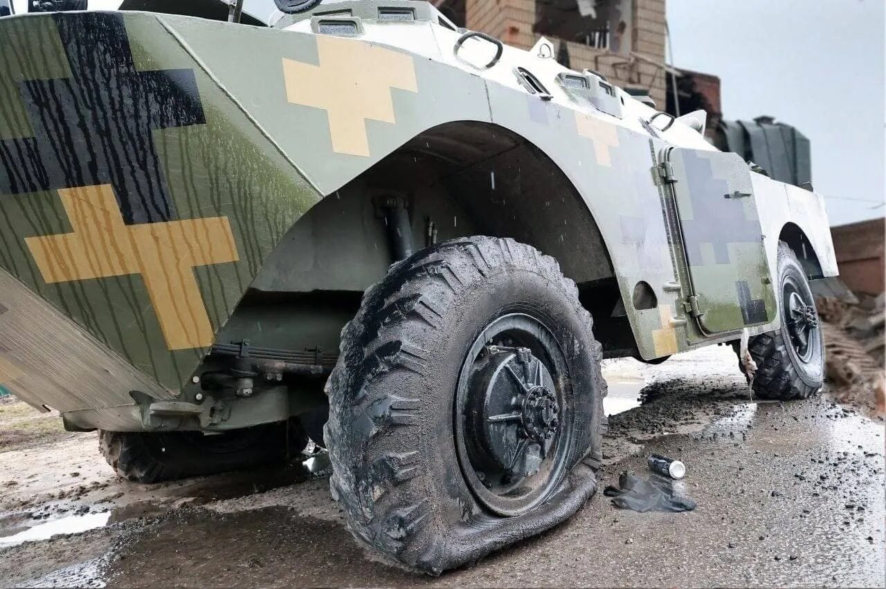 Лев против ударил пашу техника. Техника побили. Техника побили. Техника побили. Пашу техника избили.
