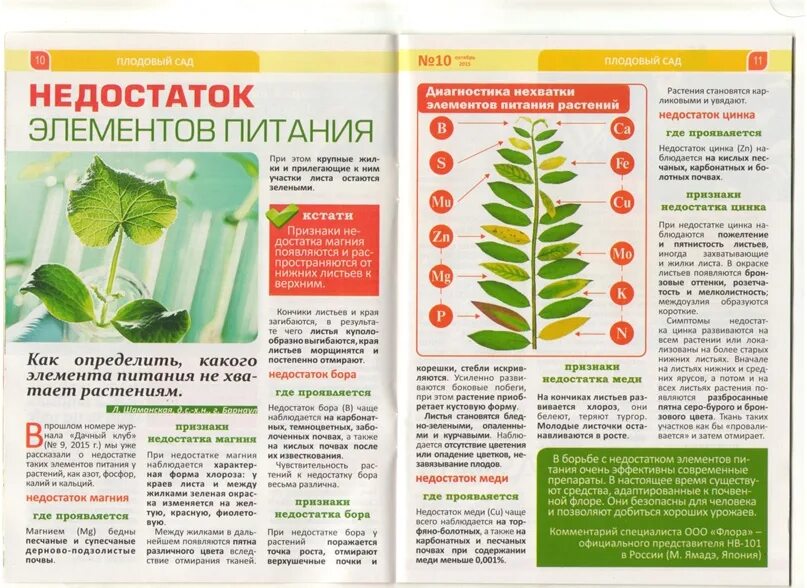 Как по листьям томатов определить какого элемента не хватает. Как по листьям определить чего не хватает растению. Скрюченные листья нехватка какого элемента. Как понять каково удобрения не хватает растению.