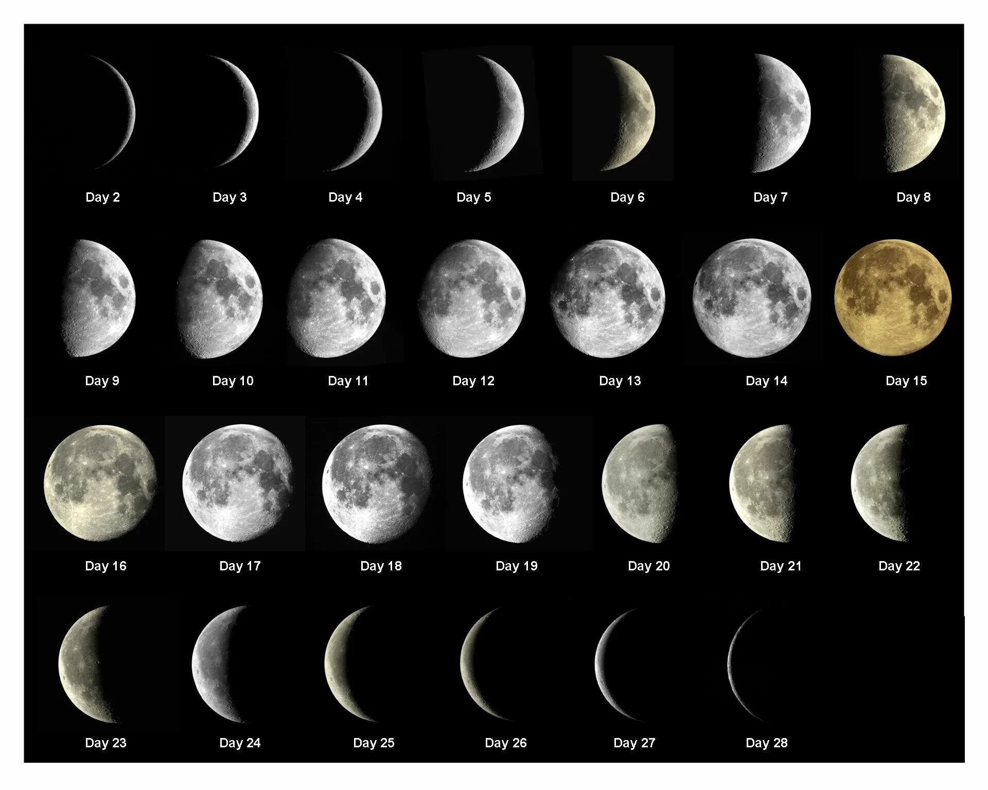 Английский на русский moon. Moon phases 2023. Название лунных фаз. Фазы Луны с названиями на месяц. Вид Луны в полнолуние.