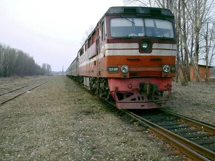 Петербург гдов