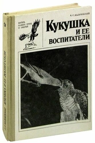 Кукушка читать. Кукушка басня ивана андреевича крылова. Кукушка читать. Сказка кукушка ненецкая сказка текст. Кукушка читать.