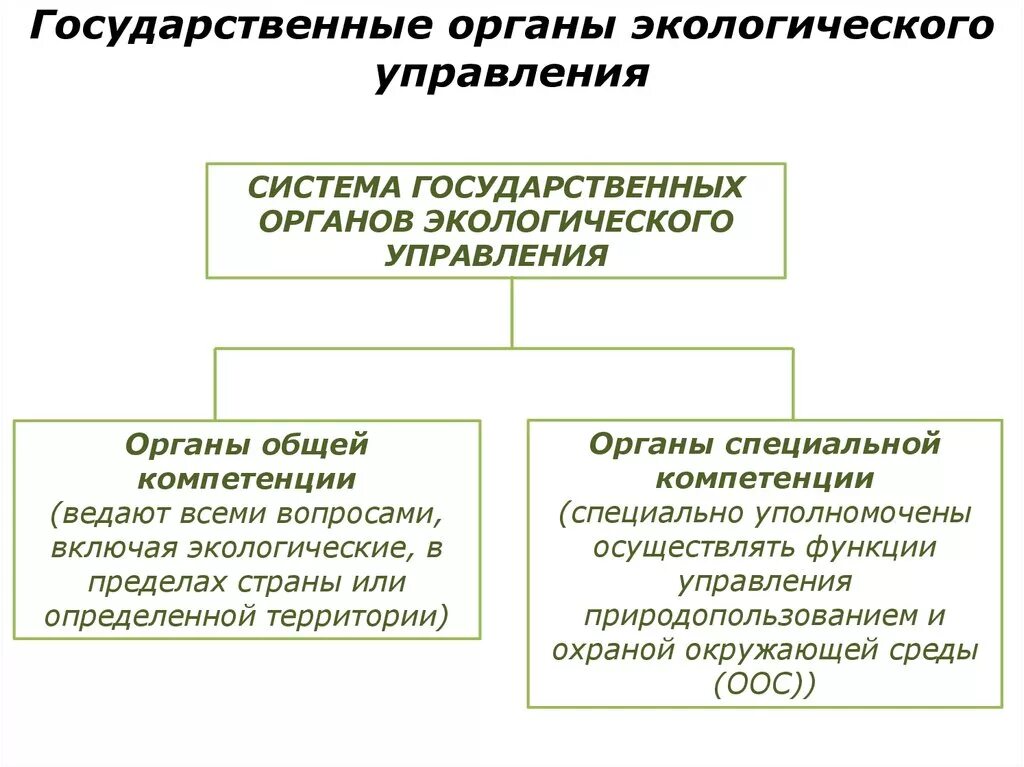 Полномочия экологического управления