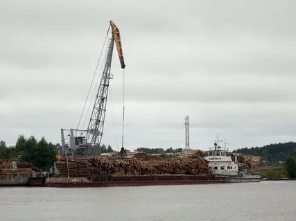 Рт 19