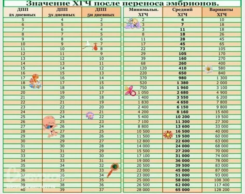 Через сколько плод после. ХГЧ по дням после переноса эмбрионов 5 дневных таблица. ХГЧ после переноса эмбриона 5 дневка. Таблица ХГЧ по дням после переноса 5 дневных. ХГЧ после переноса 5 дневного эмбриона.