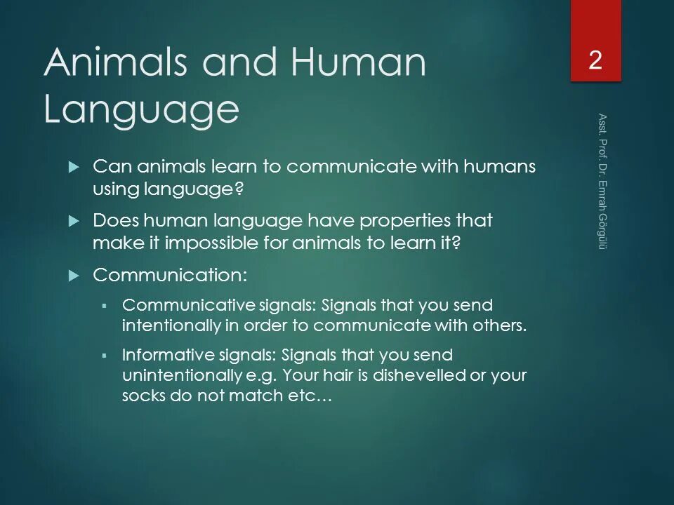 Animal essay. Human language. Human language and its features.. The properties of Human language. Animal and Human language differences.