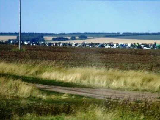 Село шахи павловский район озеро. Алтайский край павловский район село шахи озеро. Озеро шахи барнаул. Погода шахи алтайский. Пруд шахи барнаул.