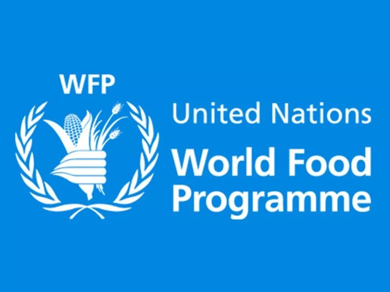 Продовольственная оон. Всемирная продовольственная программа. Мировая продовольственная программа ООН. Всемирная продовольственная программа логотип. WFP логотип.