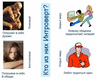 Профессии для интровертов