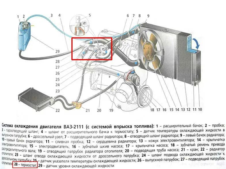 Схема патрубков ваз 2110 8 клапанов инжектор Особенности устройства. ВАЗ 2115 (Самара) / 0f9d99