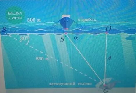 Проплыть 300 метров