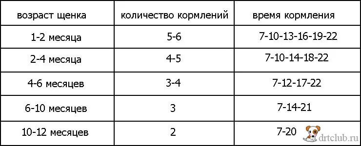 Сколько кормить щенка 5 месяцев. График кормления щенка 2 месяца. Сколько раз в день кормить щенка в 4 месяца. Сколько раз в день нужно кормить щенка 2.5 месяца. Сколько раз кормить щенка 6 месяцев кормом.