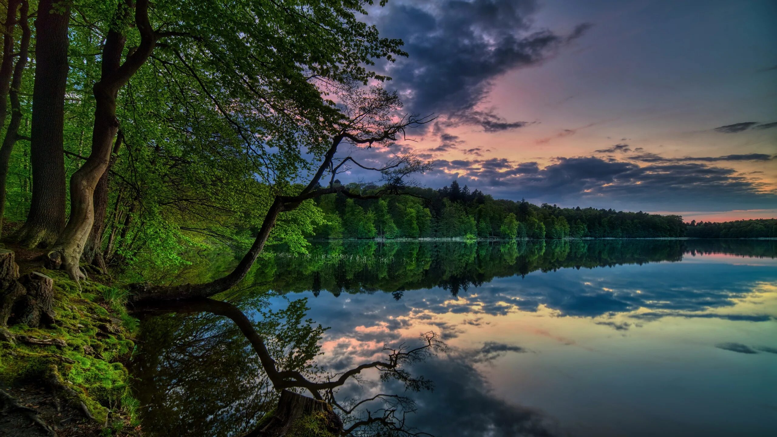 Лесная река. На воде и в лесу видео. Голубые озёра кабардино-балкария. Лодка на озере. Горное озеро байкал.