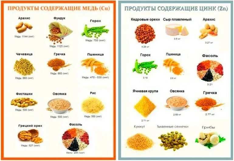 Продукты с высоким содержанием меди и цинка. Цинк минерал для организма. Продукты богатые цинком таблица. Цинк функции в организме. Продукты богатые медью и цинком.