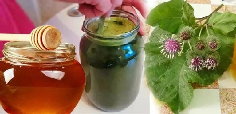 Сок лопуха с медом. Сок лопуха с медом польза. Сок лопуха. Сок лопуха с медом. Сок лопуха с медом.