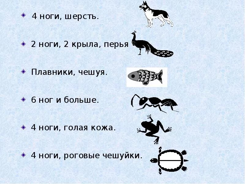 Окружающий мир плешаков 3 класс охрана животных. Охрана животных 3 класс. охрана животных 3 класс презентация. охрана животных 3 класс окружающий мир. защита животных окружающий мир 3 класс.