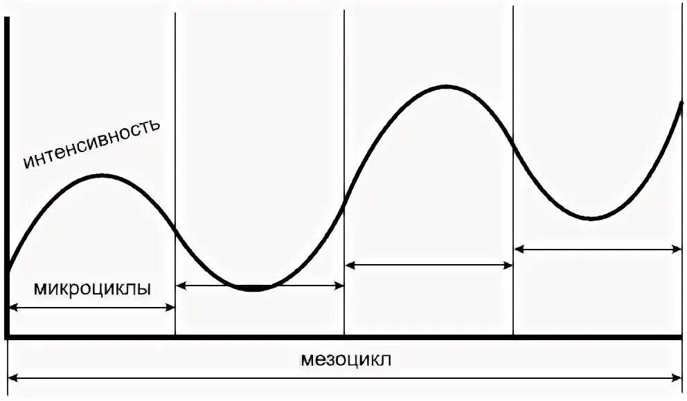 Макроциул мезоциклмикроцикл. Микроцикл мезоцикл макроцикл. Макроцикл и микроцикл в тренировочном процессе. Мезоцикл спортивной тренировки. Микроцикл в спорте