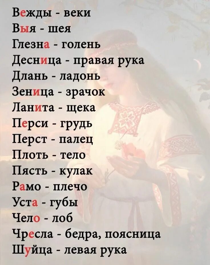 Ланит слово. Части тела намдревнерусском. Названия частей тела на старославянском языке. Названия частей тела на древнерусском языке. Название частей тела человека на древнерусском языке.