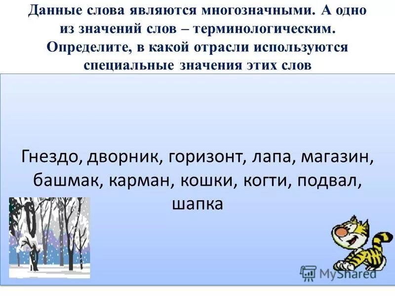 Слово особо значение. Слово особо значение