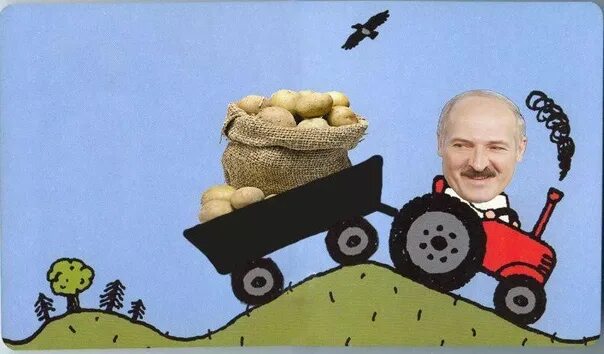Лукашенко на тракторе фото Былб * Президент и трактор. К юбилею МТЗ вышел лиричный сюжет с Батькой и его сы