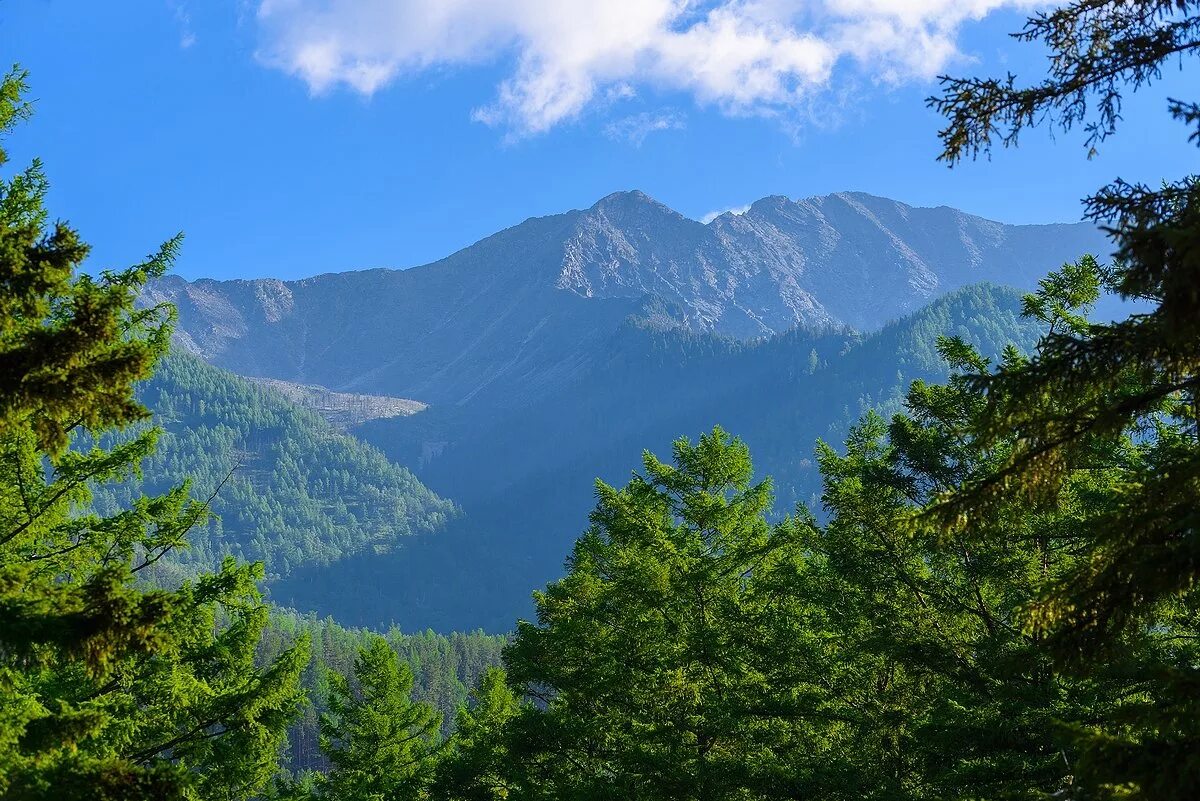 саяны отдых