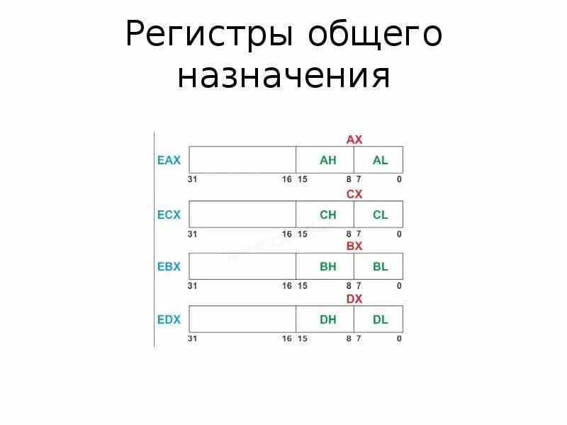 Е регистр. Регистры общего назначения ассемблер. регистры общего назначения процессора. регистры специального назначения ассемблер. регистры общего назначения схема.