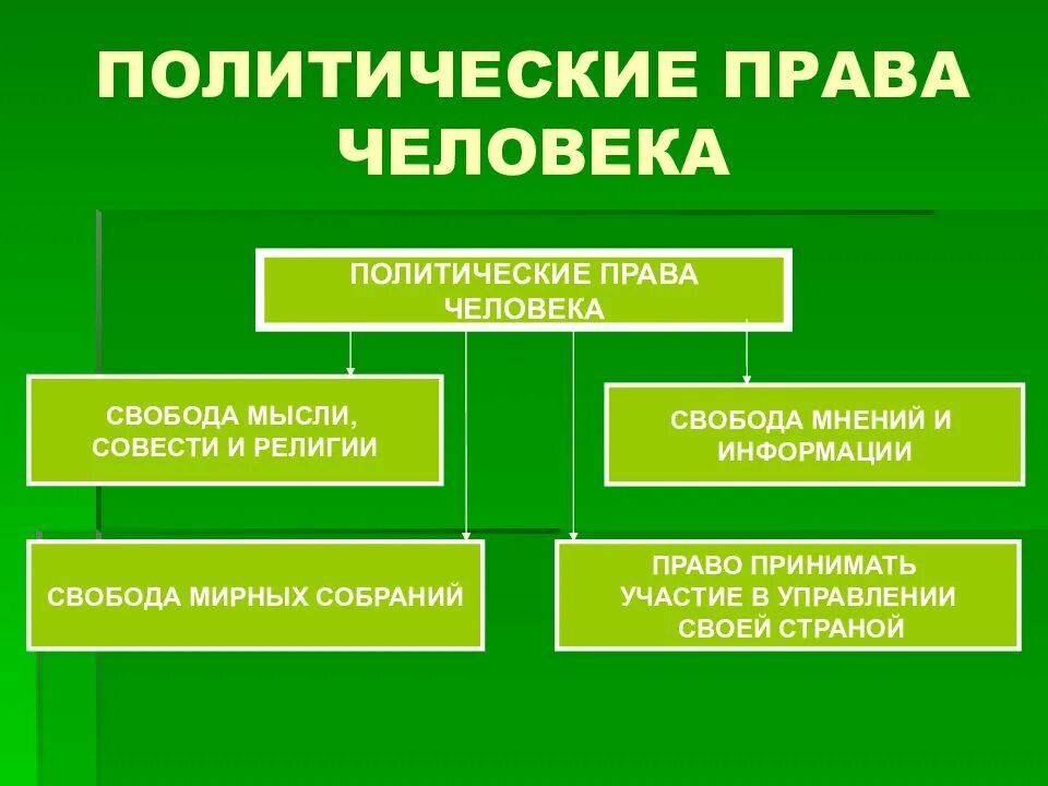 К политическим правам относится право тест. Полетическиеправа человека.