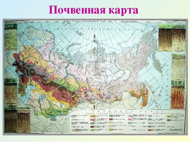 Типы почв контурная карта. Атлас СССР почвенная карта. Карта почв России. Почвенная карта России 2022. Карта почвы России 8 класс география.