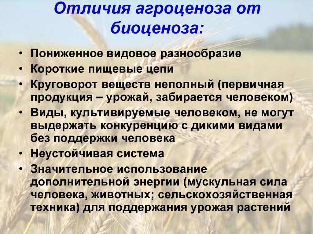 Недостаток разнообразия