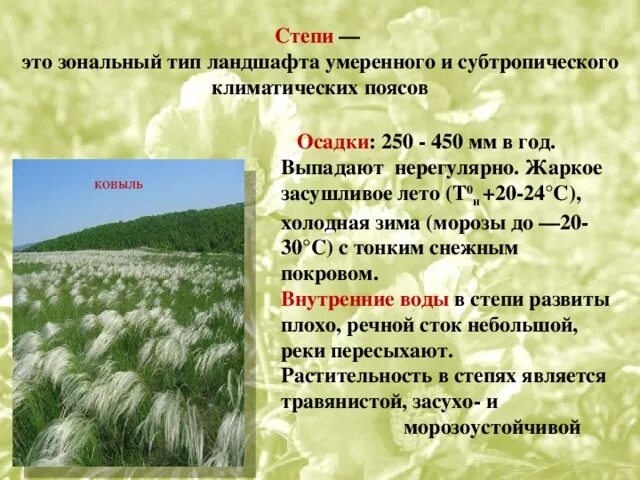 Воды степи в россии. Внутренние воды степи. Климатический пояс степи в России. Характеристика степи.