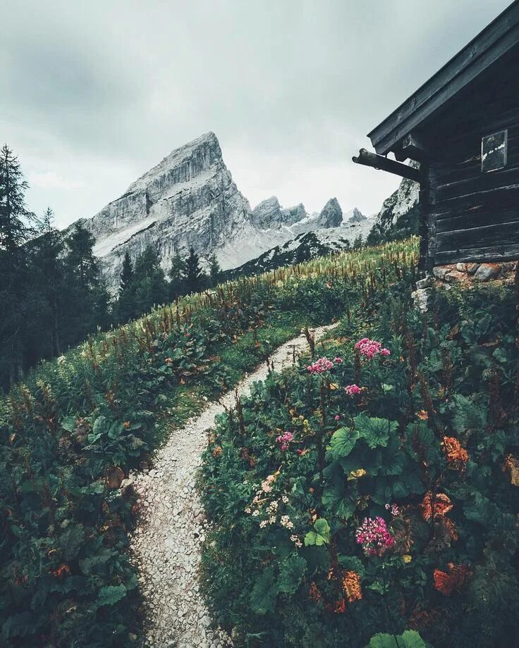 Picnic. Travel, Travel photography, Picnic