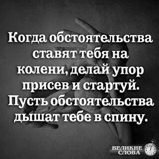 Песня я поставил тебя на колени