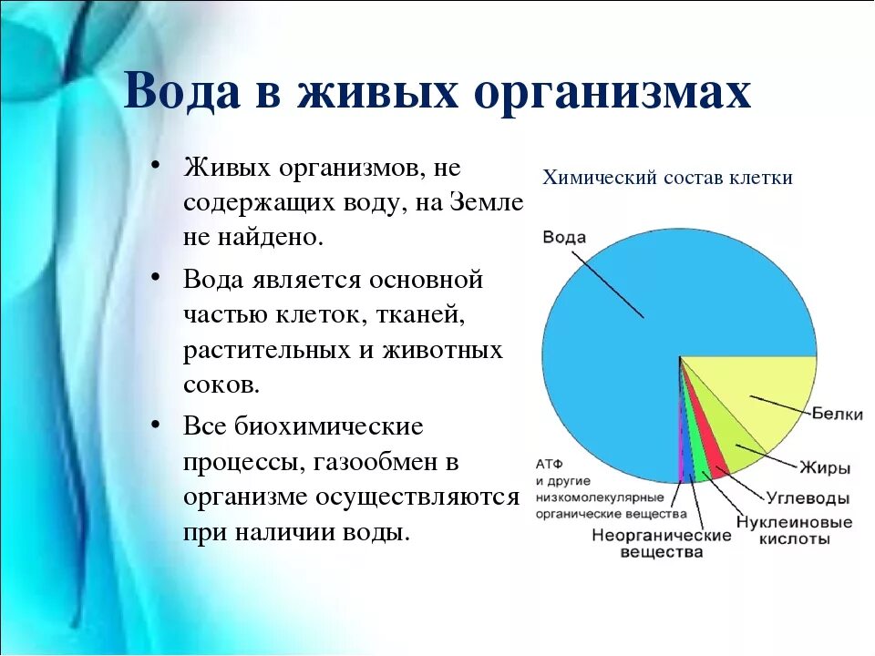 Запас воды в организме. Значение воды для живых организмов. Роль воды в живых организмах. Роль воды для неживых организмов. Свойства воды в живых организмах.