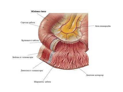 Валерия порно фейктері