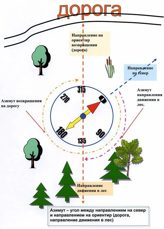 C ориентироваться