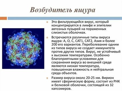 Возбудитель это