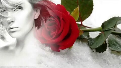 Песня две алые розы на снегу замерзаем
