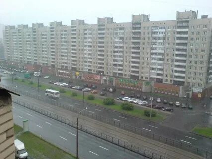 Просвещения 69 фото