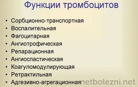 Симптомы тромбоцитоза у женщин